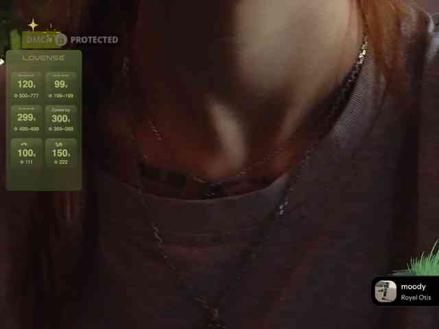 LisLy webcam