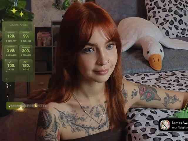 LisLy webcam