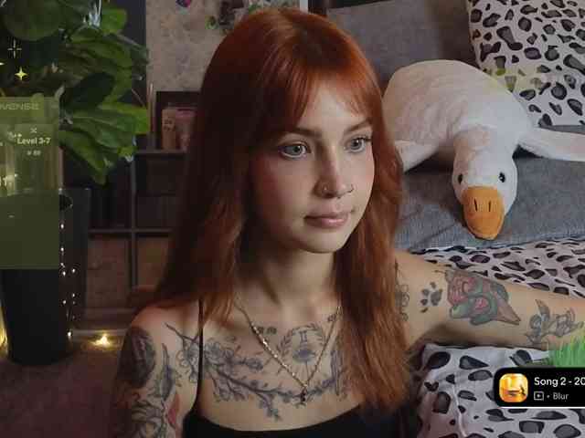 LisLy webcam