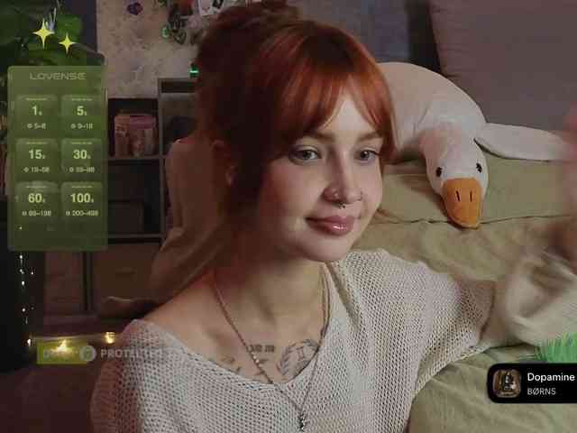 LisLy webcam