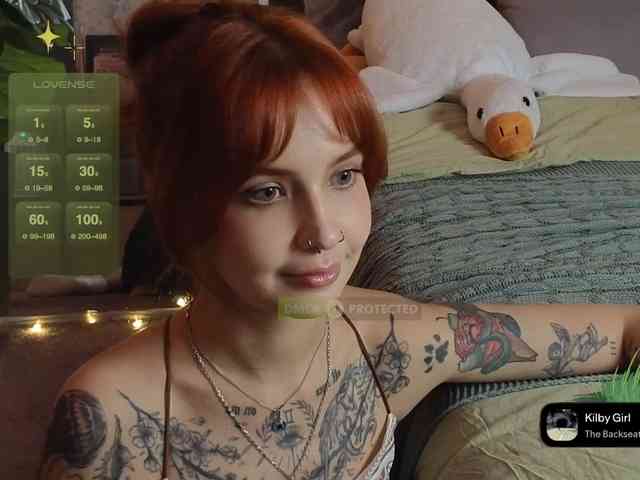 LisLy webcam
