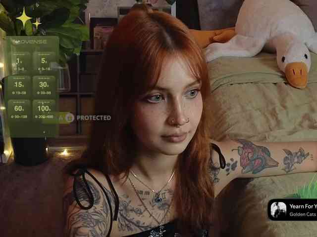 LisLy webcam