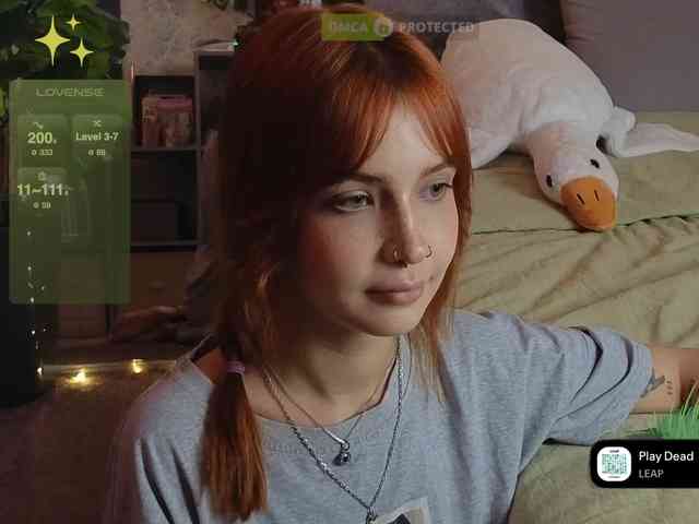 LisLy webcam