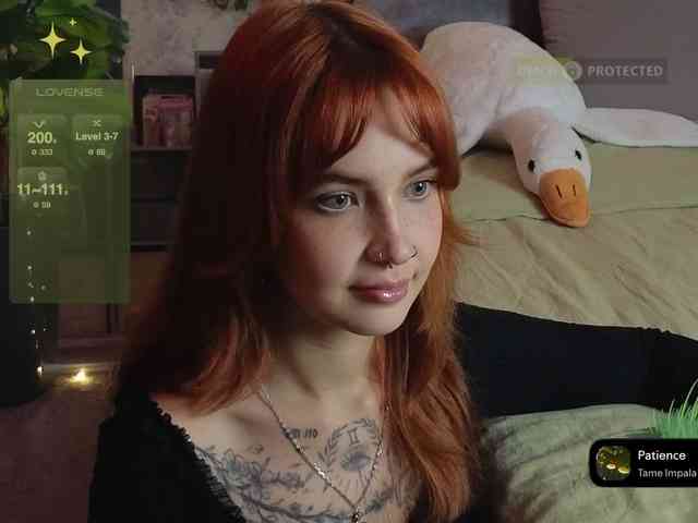 LisLy webcam