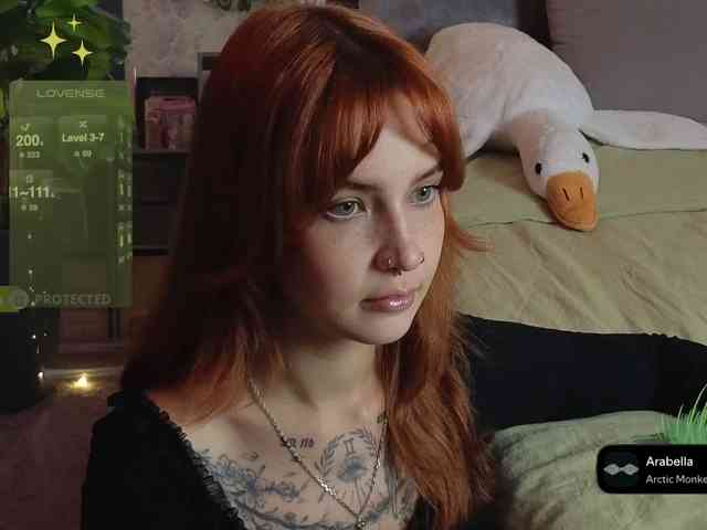 LisLy webcam