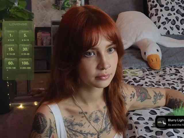 LisLy webcam