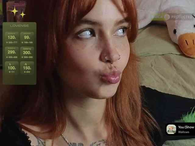 LisLy webcam