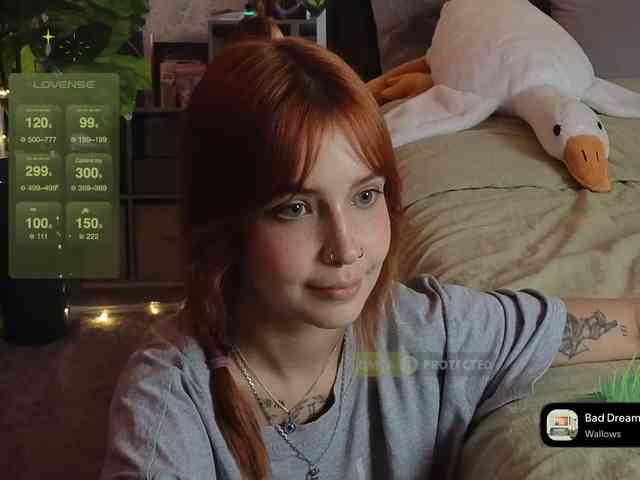 LisLy webcam