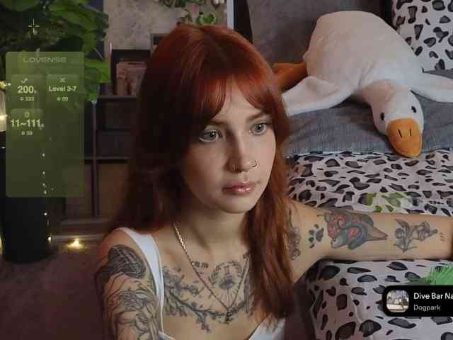 LisLy webcam