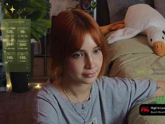 LisLy webcam