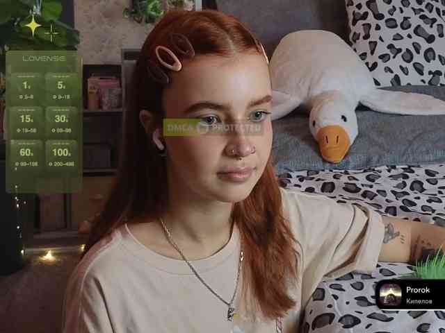 LisLy webcam