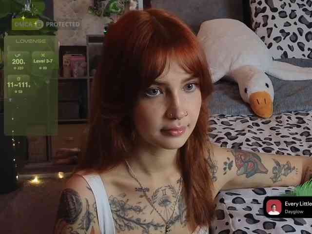 LisLy webcam
