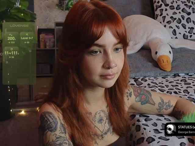 LisLy webcam