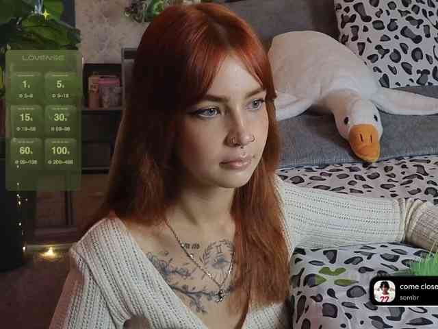 LisLy webcam
