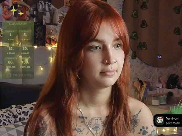 LisLy webcam