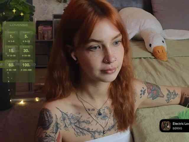 LisLy webcam