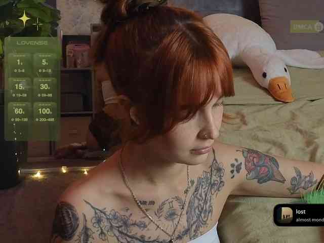 LisLy webcam