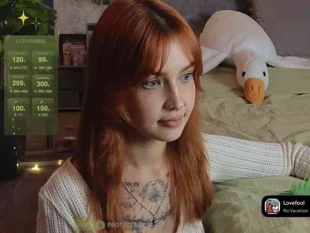 LisLy webcam
