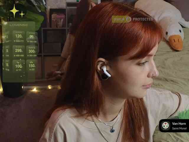 LisLy webcam