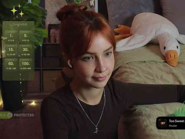 LisLy webcam