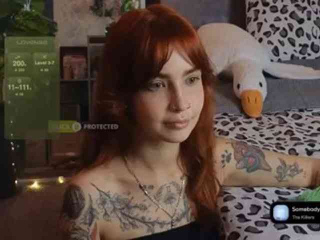 LisLy webcam