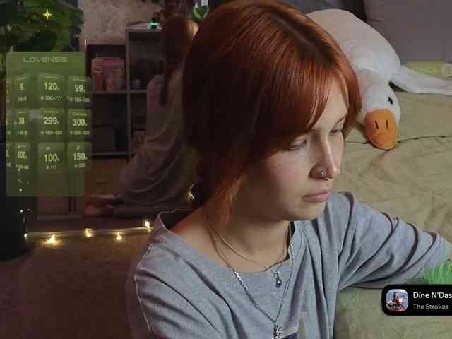 LisLy webcam