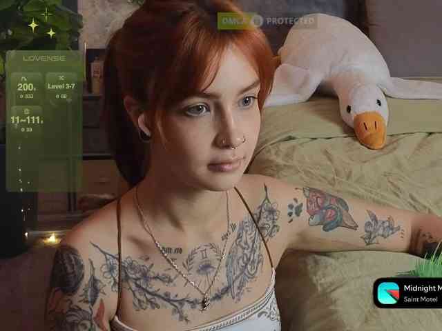 LisLy webcam