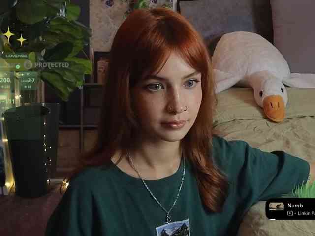 LisLy webcam