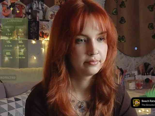 LisLy webcam