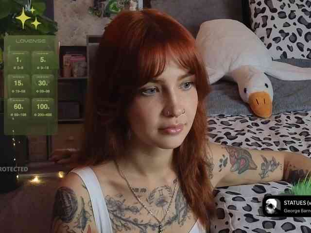 LisLy webcam