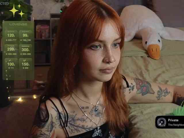 LisLy webcam