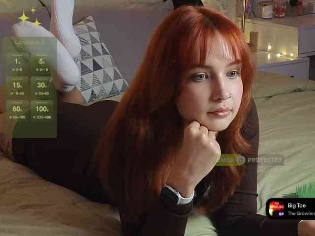 LisLy webcam