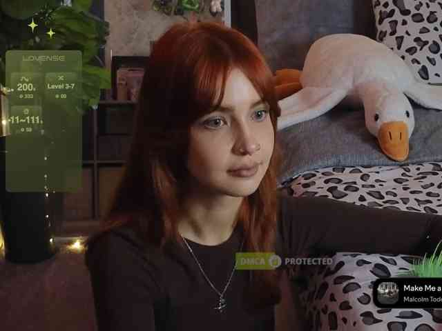 LisLy webcam