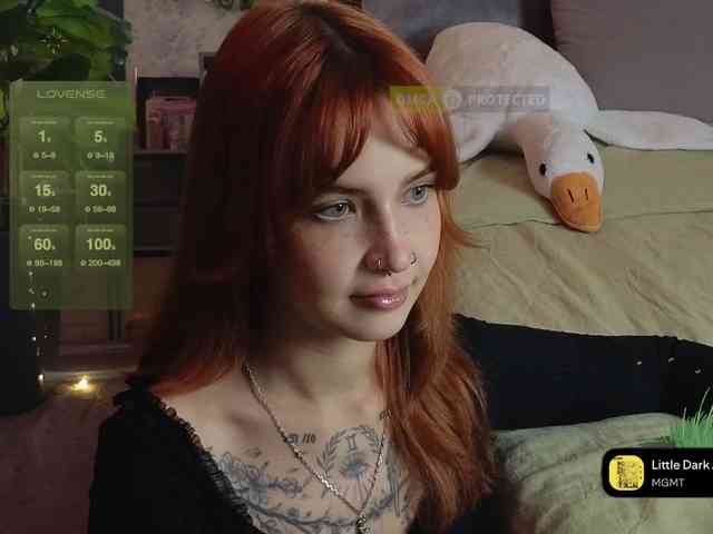 LisLy webcam
