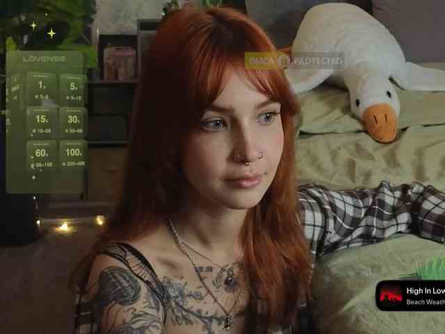 LisLy webcam