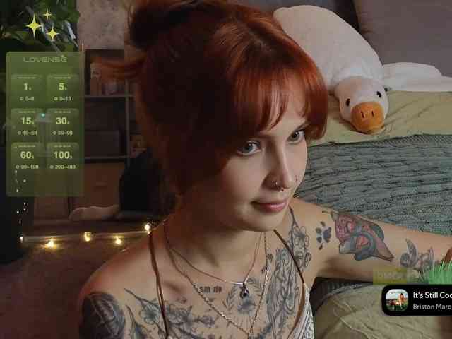 LisLy webcam
