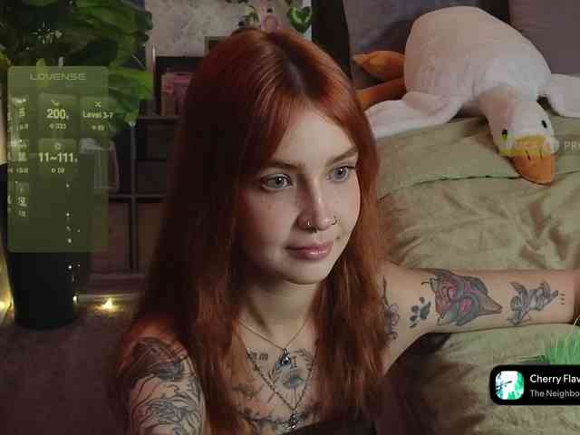 LisLy webcam