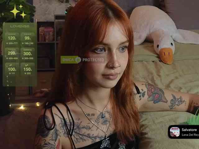 LisLy webcam