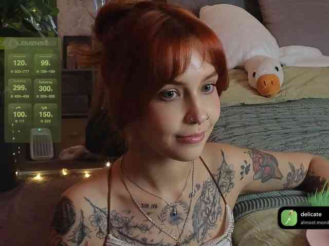 LisLy webcam
