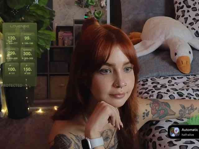 LisLy webcam