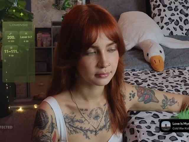 LisLy webcam