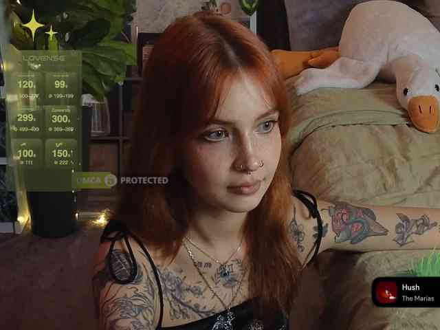 LisLy webcam