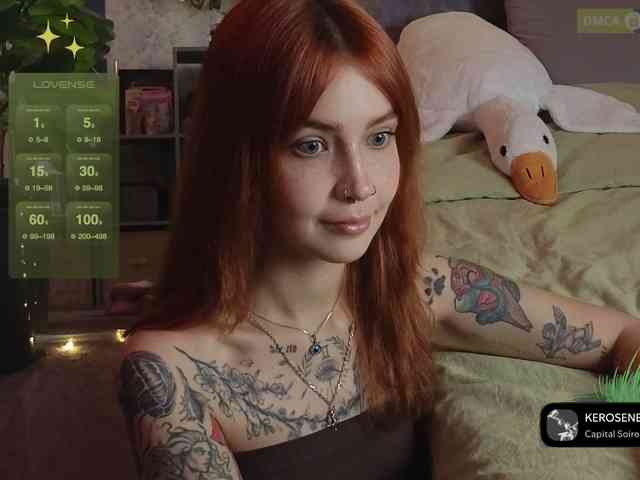 LisLy webcam