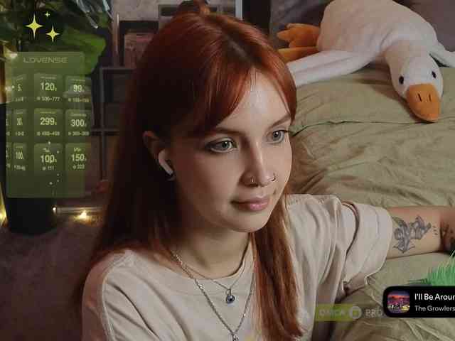 LisLy webcam