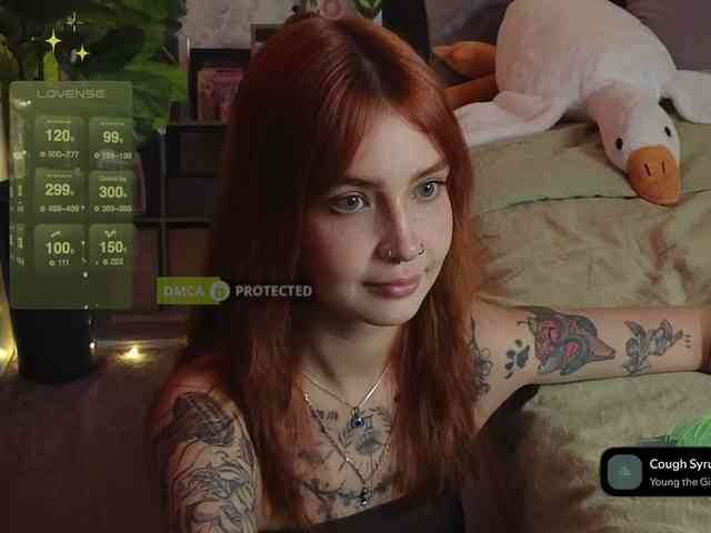 LisLy webcam