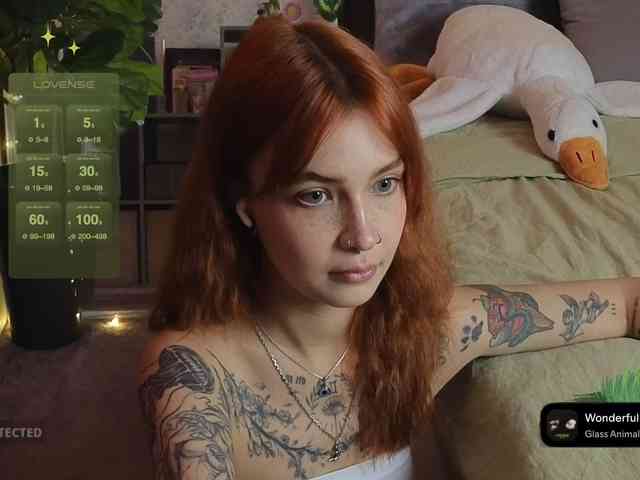 LisLy webcam