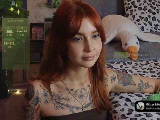 LisLy webcam
