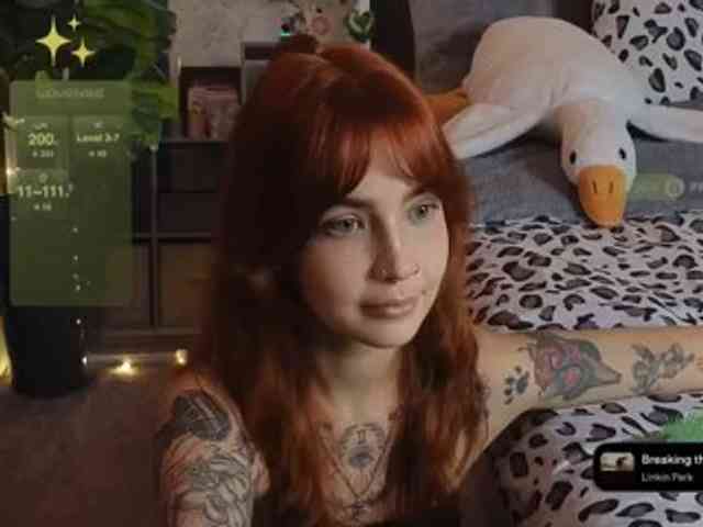 LisLy webcam