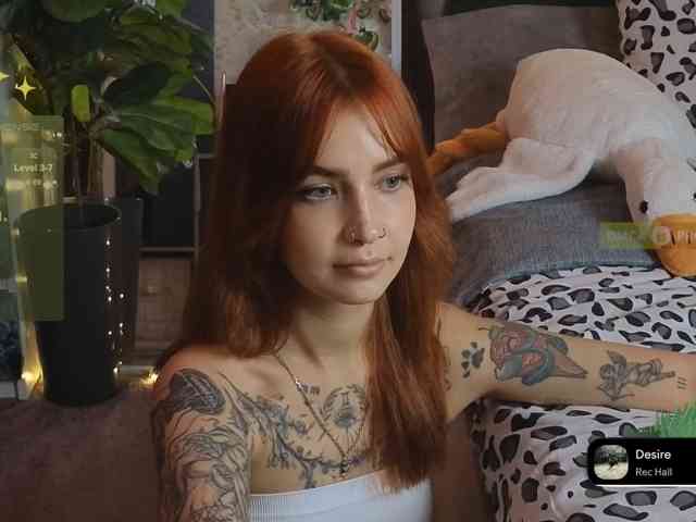 LisLy webcam