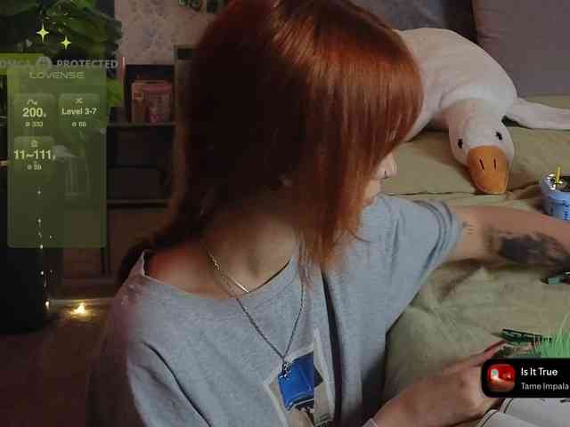 LisLy webcam
